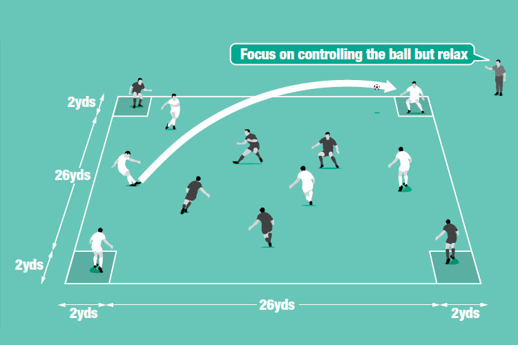 Teams play long passes (lofted or driven) to team mates in target zones, who must control the ball and pass it to a team mate.