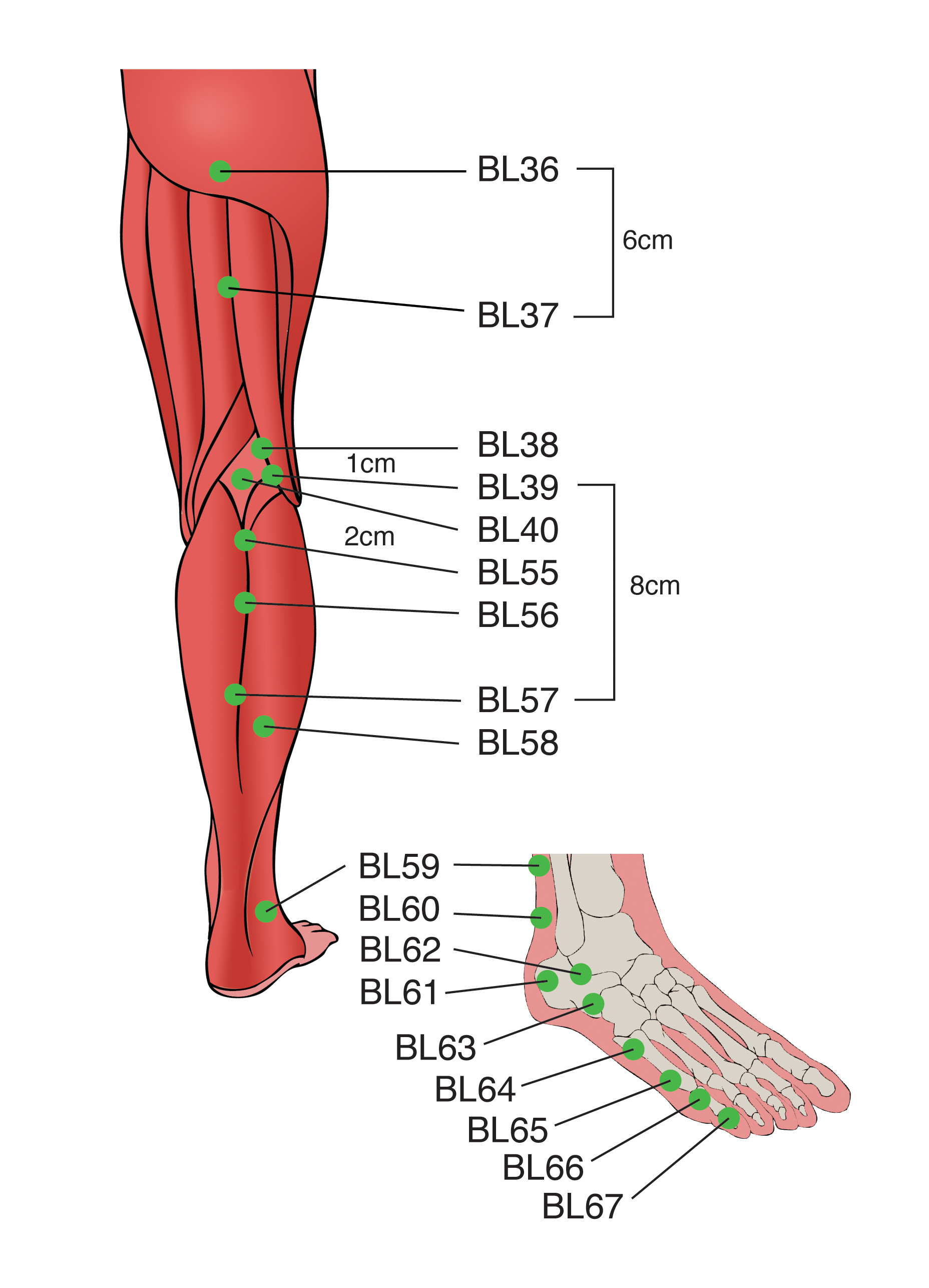 Sports Injury Bulletin - Diagnose & Treat - Acupuncture for sports