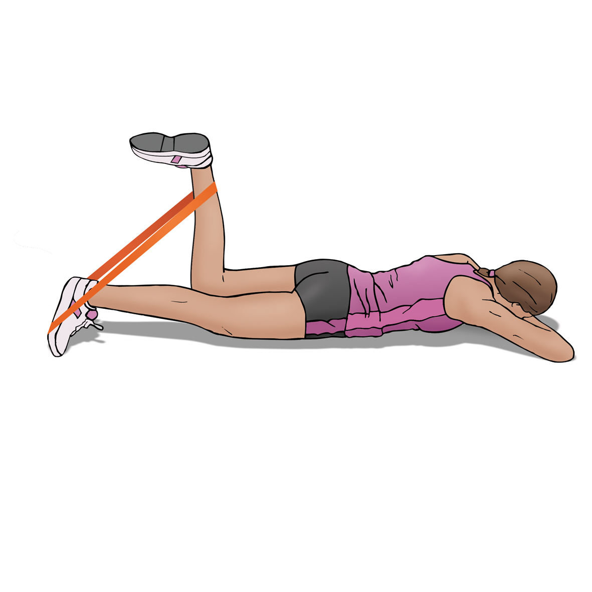 Sports Injury Bulletin - Anatomy - Management of high hamstring ...