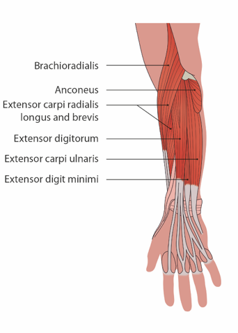 Sports Injury Bulletin - Diagnose & Treat - Get a grip!