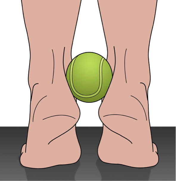 Sports Injury Bulletin Anatomy Tibialis posterior tendon a key