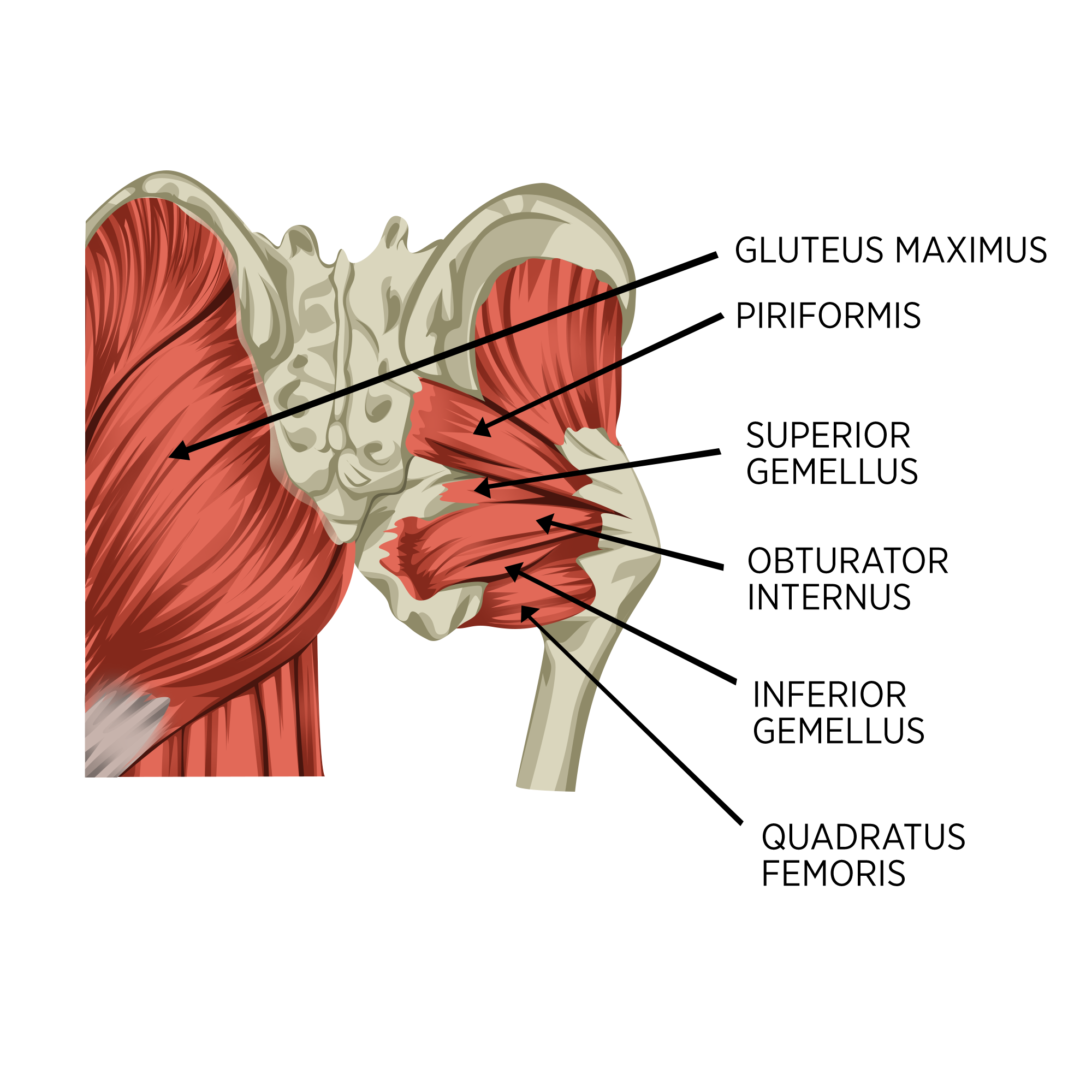 Sports Injury Bulletin - Diagnose & Treat - Case Report: Klay Thompson 