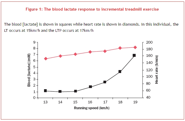 VO2max and Oxygen Consumption