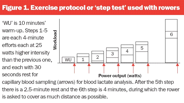 step test rowers