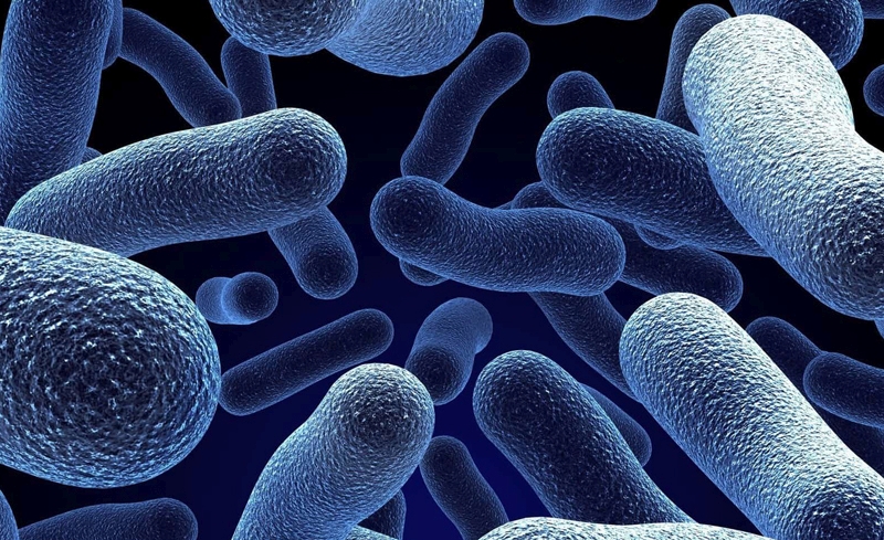 Probiotics: help or hindrance for athletes?
