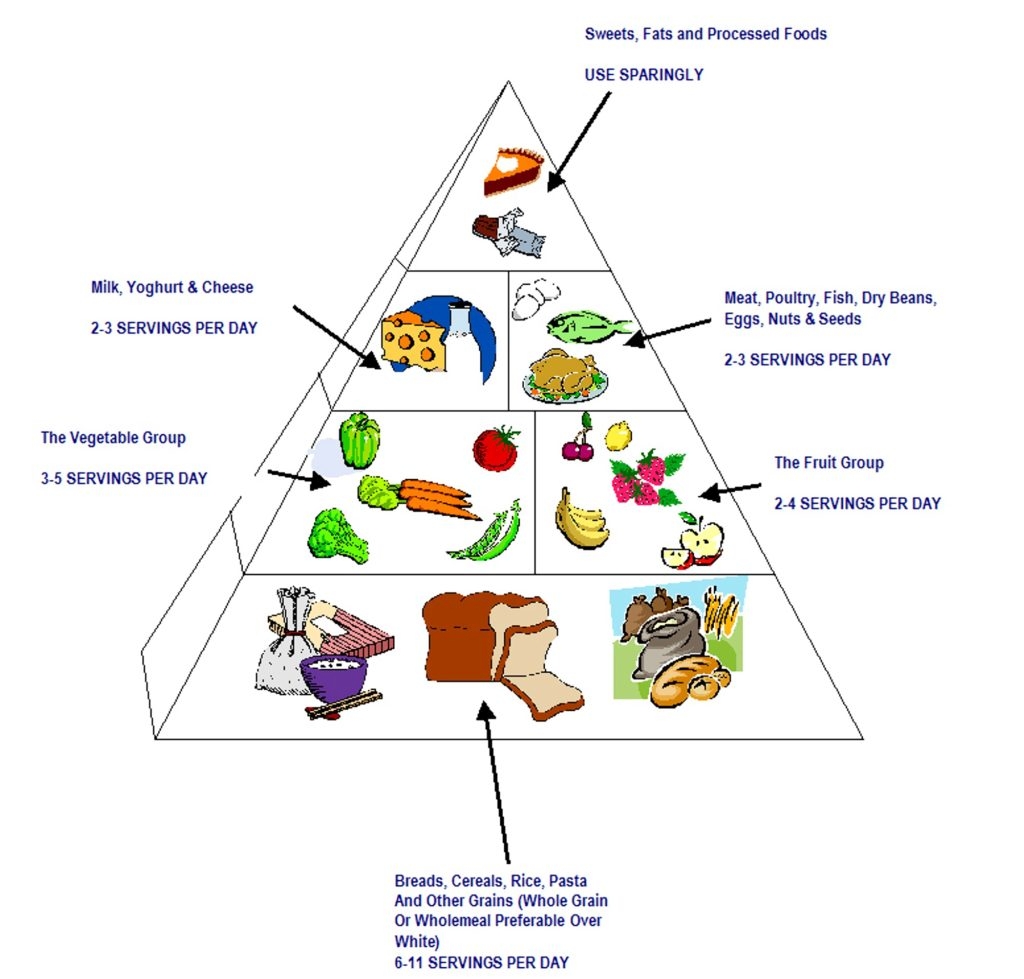 Sports Performance Bulletin - Nutrition - Optimising your day-to-day ...