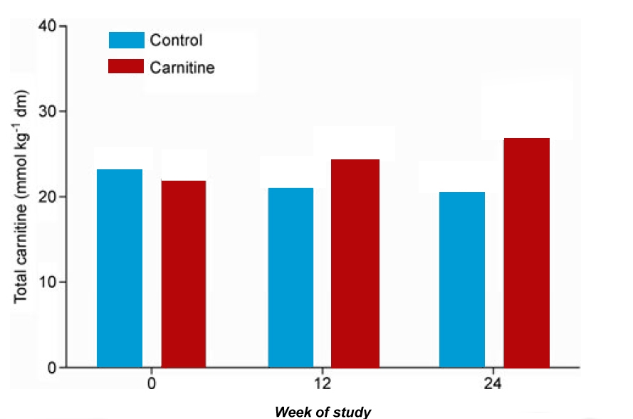 Sports Performance Bulletin Other Lcarnitine back on the block