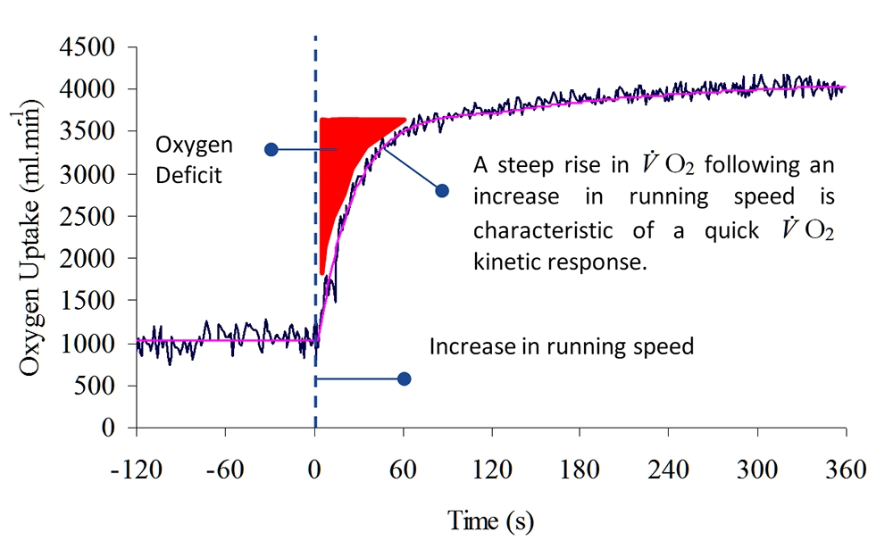 Sports Performance Bulletin Endurance Training Soccer Fitness Endurance Matters But