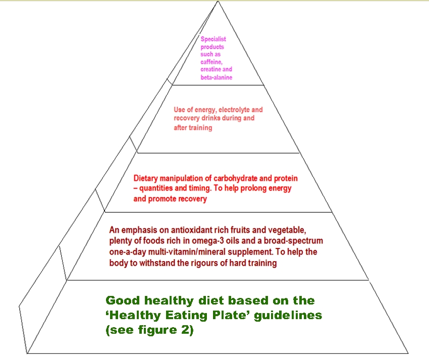 Sports Performance Bulletin - Nutrition for endurance athletes ...