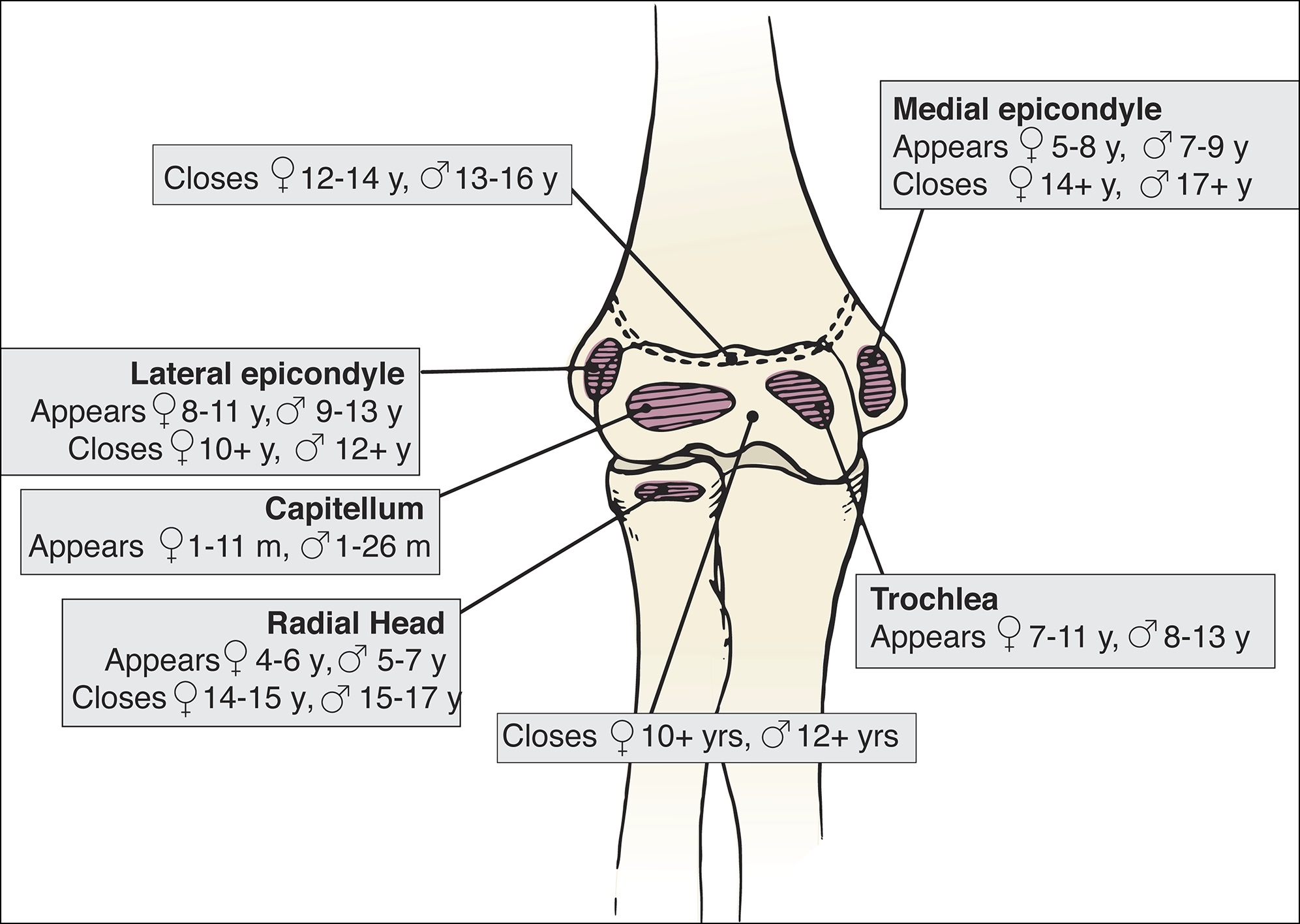 Sports Injury Bulletin Diagnose & Treat Little leaguer’s elbow a