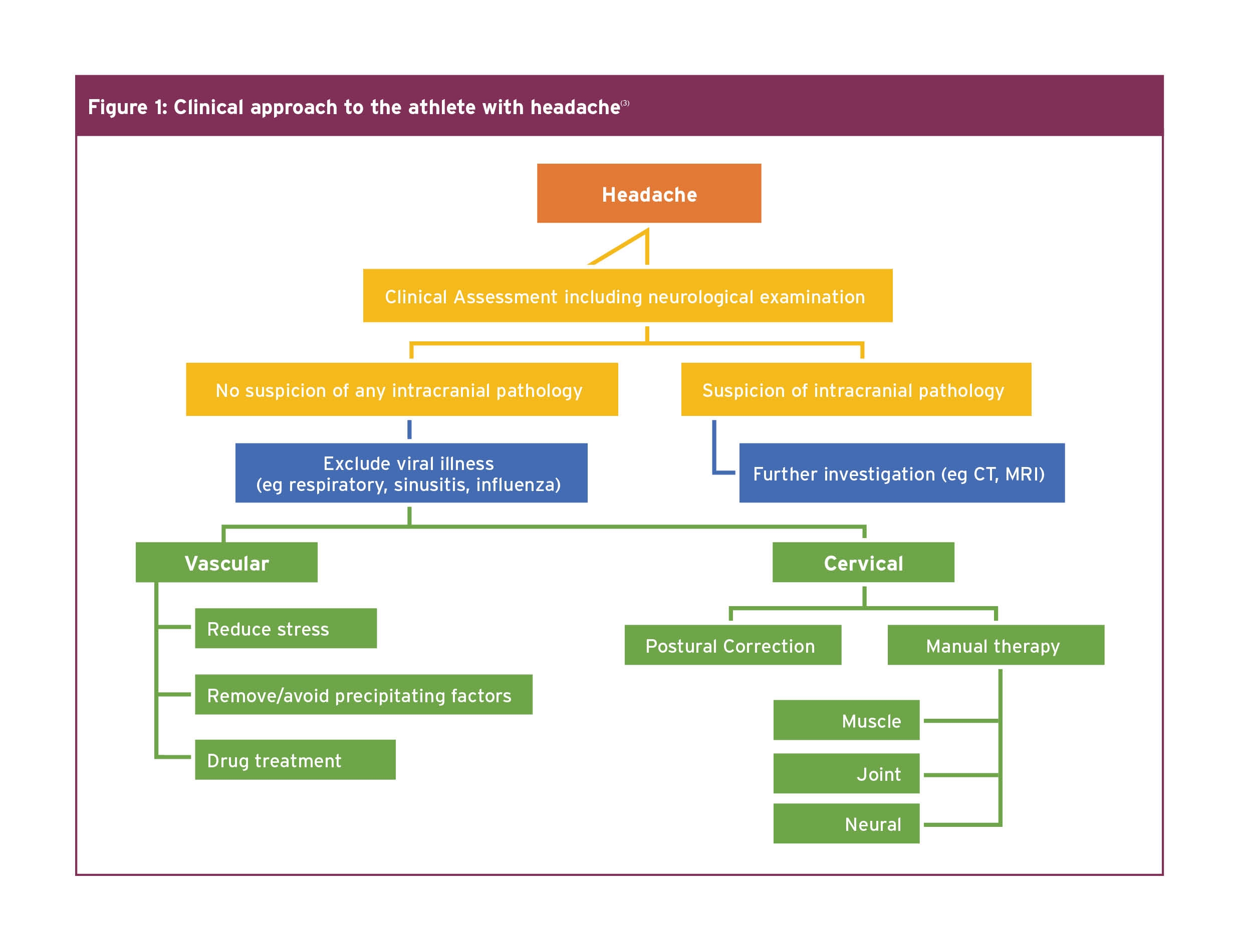 Sports Injury Bulletin - Diagnose & Treat - Cervicogenic Headaches: A ...