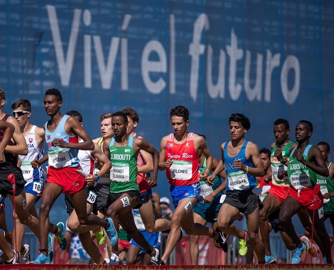 Post-ACL Repair Runners Shortened Their Stride and This Happened...
