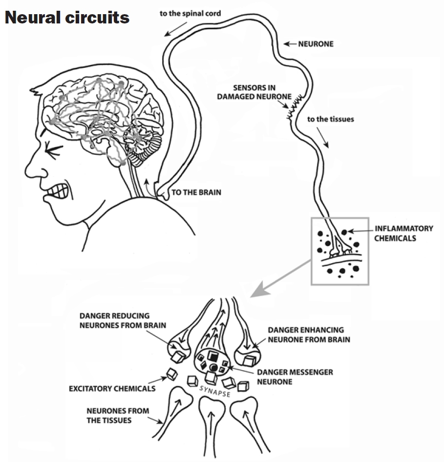 sports-injury-bulletin-diagnose-treat-pain-and-the-brain