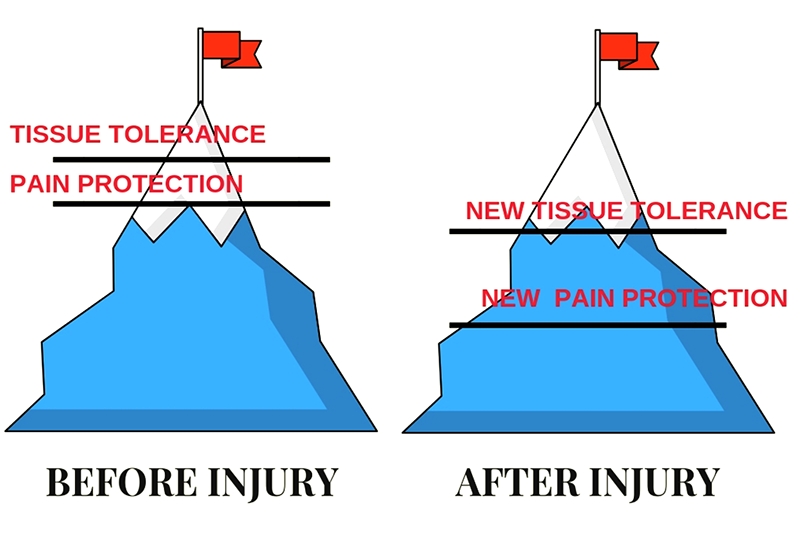 Sports Injury Bulletin Improve The language of pain