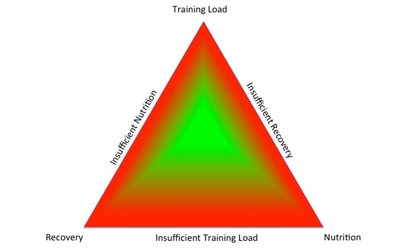 Sports Injury Bulletin - Diagnose & Treat - Relative energy deficiency ...