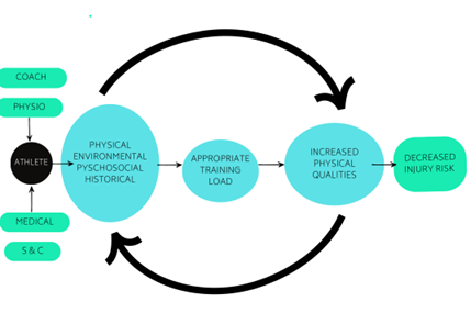Figure 4: The collaborative team approach to load management and injury(adapted)(14)