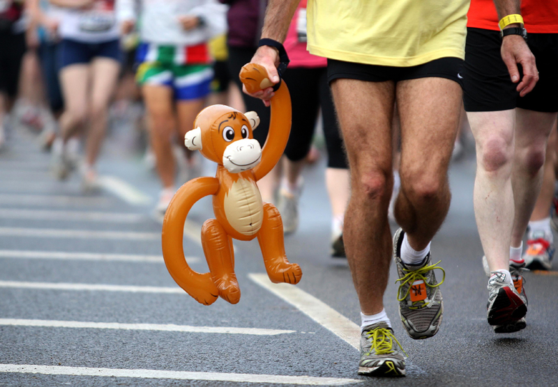 Stop the monkey business if you want to race strong!