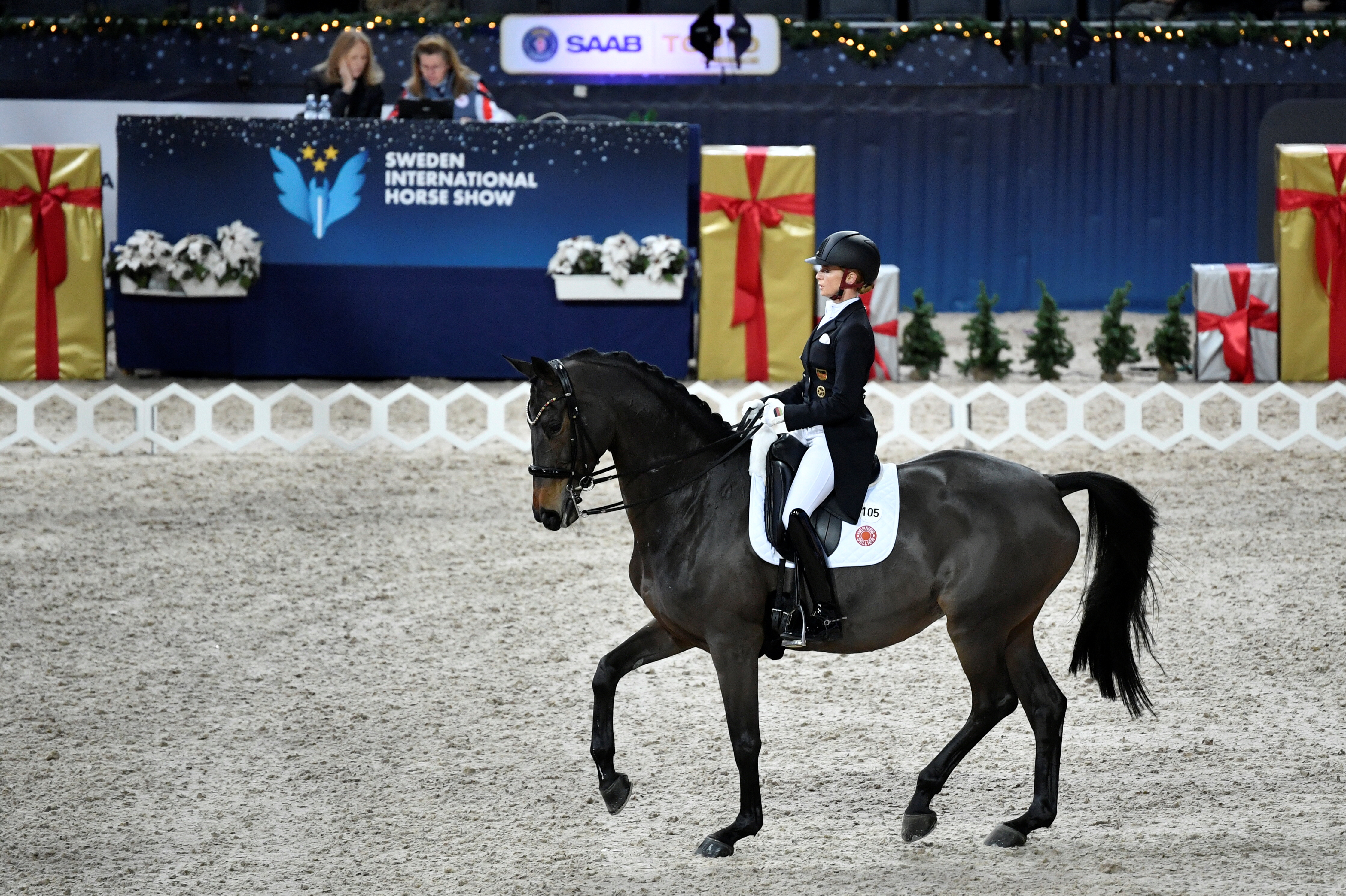 Strengthen to Succeed: The Power of Land-Based Training for Injury-Prevention Dressage Athletes