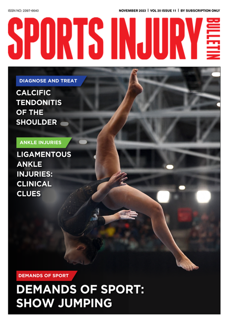 Sports Injury Bulletin Vol 20 Issue 11