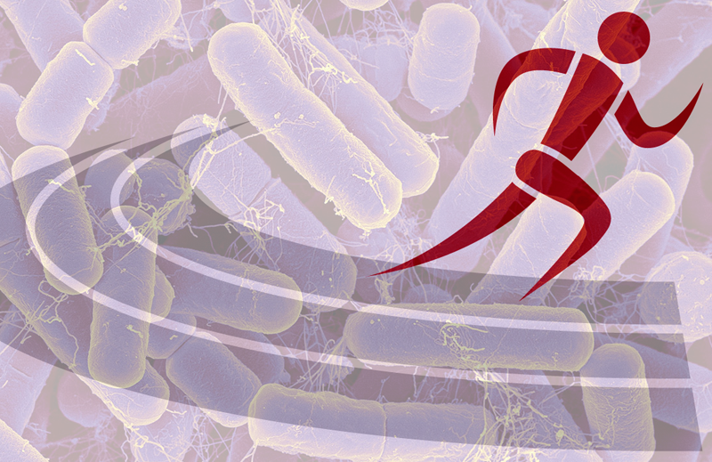 Athlete health: harnessing the power of microbes!