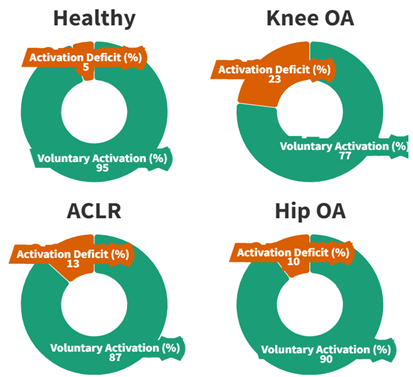 Figure 2: Voluntary activation in hip and knee conditions in comparison to healthy controls (4,5,8)