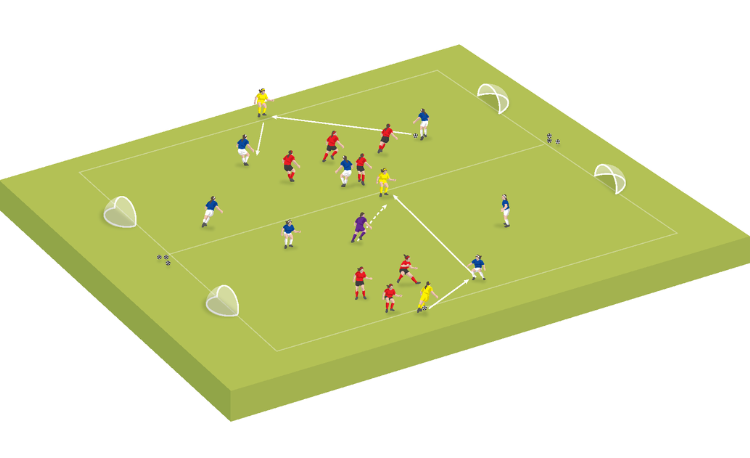 Small-sided game: Mastering the switch