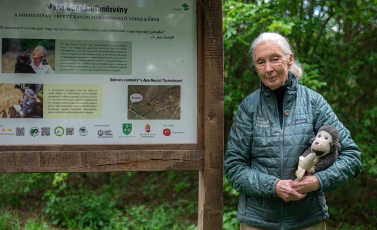 Coaching lessons from a respected zoologist