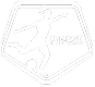 NWSL Logo