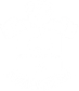 Southampton Logo
