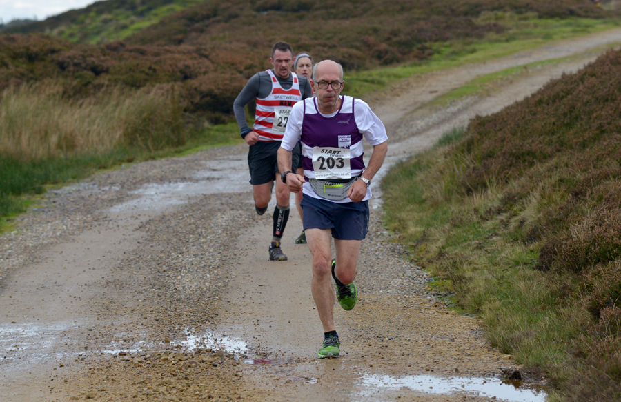 Older athletes: is ginger the spice of life?