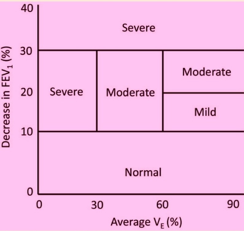 Figure 4: Classification of bronchorestriction severity. (Degree of bronchorestriction after an EVH challenge in relation to the FEV1 (% fall compared with baseline and the ventilation rate maintained during the test). Figure 4: Classification of bronchorestriction severity. (Degree of bronchorestriction after an EVH challenge in relation to the FEV1 (% fall compared with baseline and the ventilation rate maintained during the test).