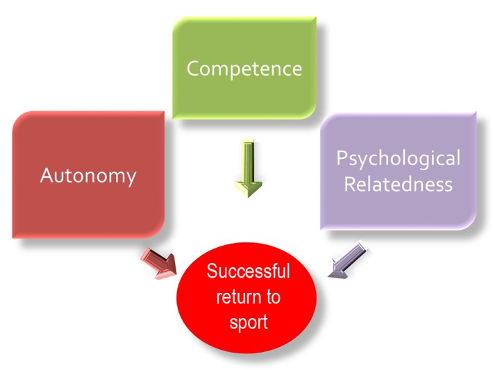 Figure 1: Elements increasing the chance of a successful return to sport.