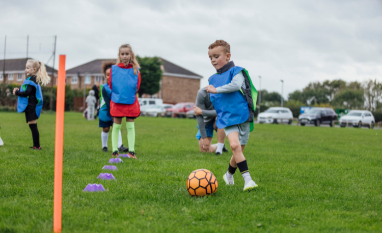 11 behaviour tips for training