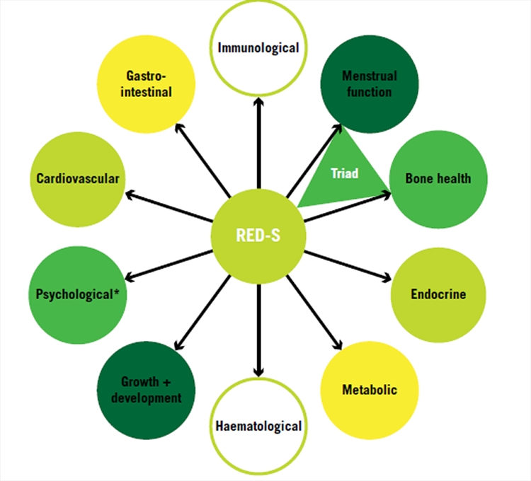 Figure 1: The hub and spokes model of the health consequences of relative energy deficiency in sports (RED-S). Figure 1: The hub and spokes model of the health consequences of relative energy deficiency in sports (RED-S).