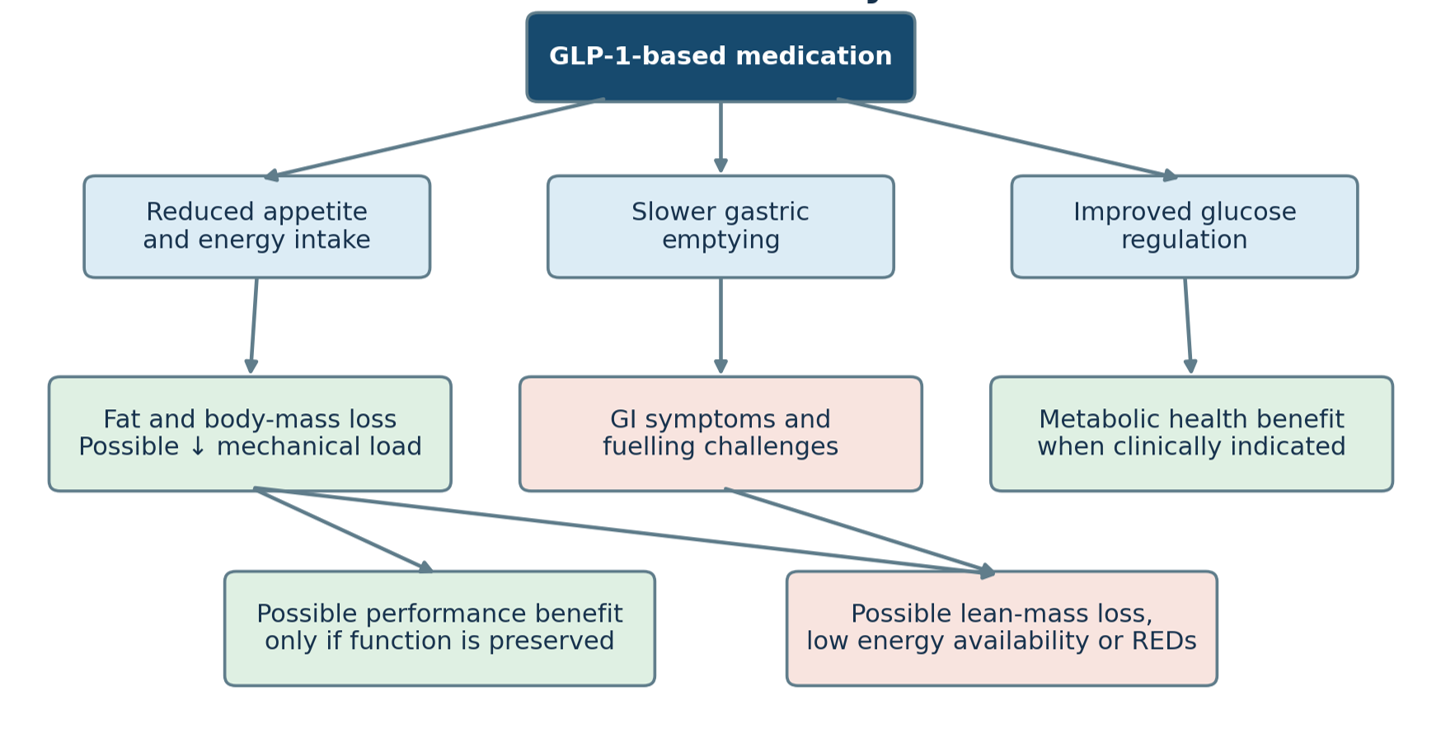 Figure 1: Potential pathways linking GLP-1-based treatment to athlete health and performance. Green outcomes indicate potential benefits, whereas red outcomes require active monitoring. Figure 1: Potential pathways linking GLP-1-based treatment to athlete health and performance. Green outcomes indicate potential benefits, whereas red outcomes require active monitoring.